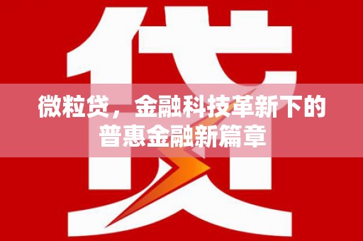 佳冬微粒贷，金融科技革新下的普惠金融新篇章