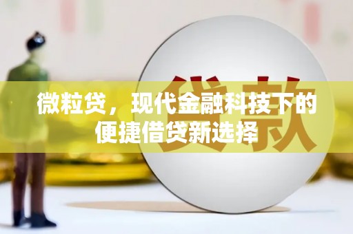 佳冬微粒贷，现代金融科技下的便捷借贷新选择