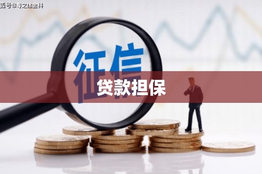 佳冬贷款担保