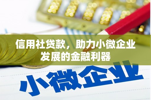 佳冬信用社贷款，助力小微企业发展的金融利器