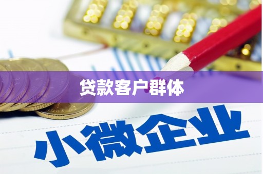 佳冬贷款客户群体