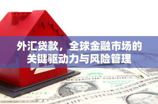 佳冬外汇贷款，全球金融市场的关键驱动力与风险管理