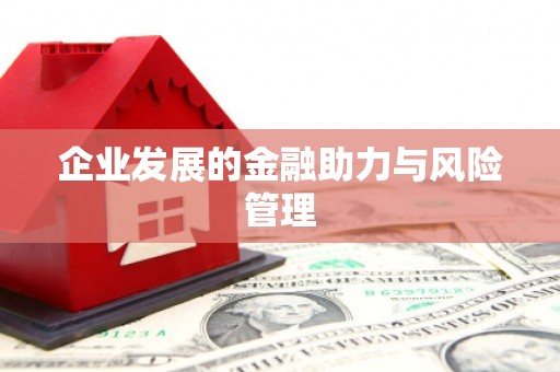 佳冬企业发展的金融助力与风险管理