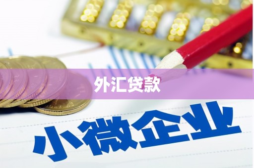 佳冬外汇贷款
