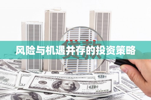 佳冬风险与机遇并存的投资策略