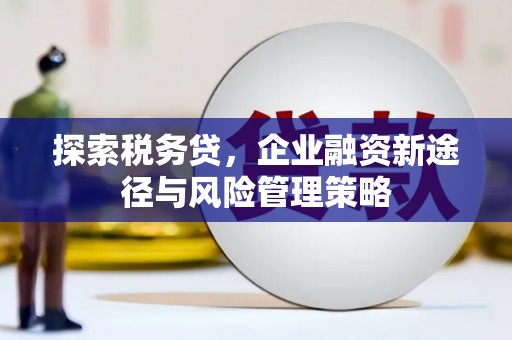 佳冬探索税务贷，企业融资新途径与风险管理策略