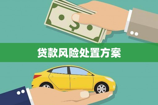 佳冬贷款风险处置方案