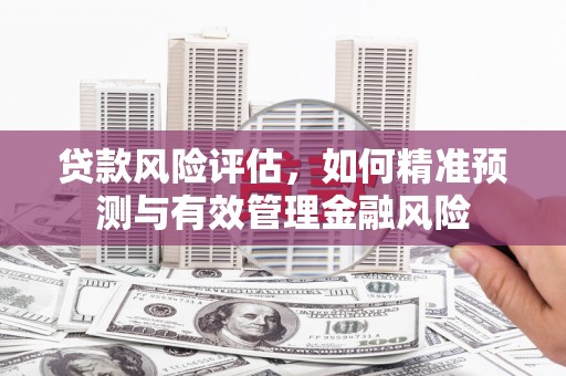 佳冬贷款风险评估，如何精准预测与有效管理金融风险