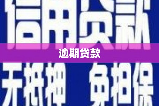 佳冬逾期贷款