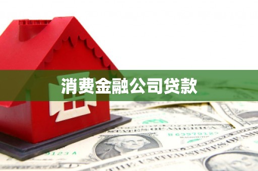 佳冬消费金融公司贷款