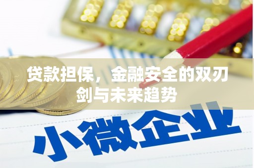 佳冬贷款担保，金融安全的双刃剑与未来趋势