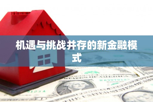 佳冬机遇与挑战并存的新金融模式