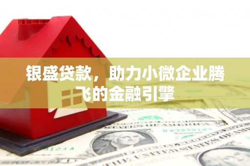 佳冬银盛贷款，助力小微企业腾飞的金融引擎