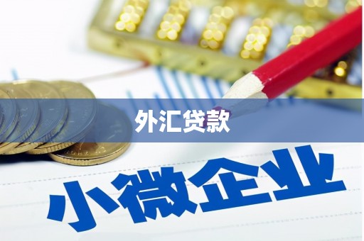 佳冬外汇贷款