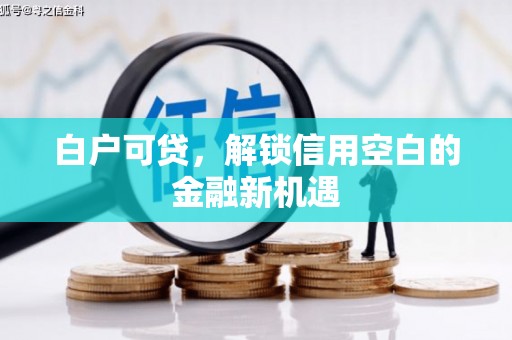 佳冬白户可贷，解锁信用空白的金融新机遇
