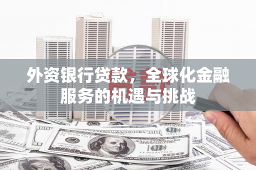 佳冬外资银行贷款，全球化金融服务的机遇与挑战