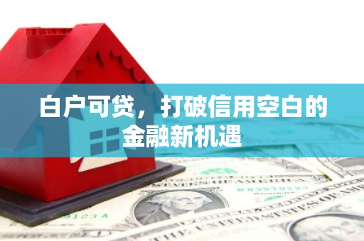 佳冬白户可贷，打破信用空白的金融新机遇