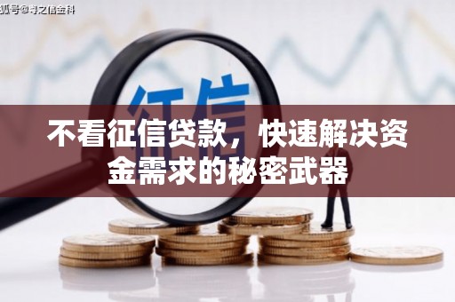 佳冬不看征信贷款，快速解决资金需求的秘密武器