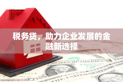 佳冬税务贷，助力企业发展的金融新选择