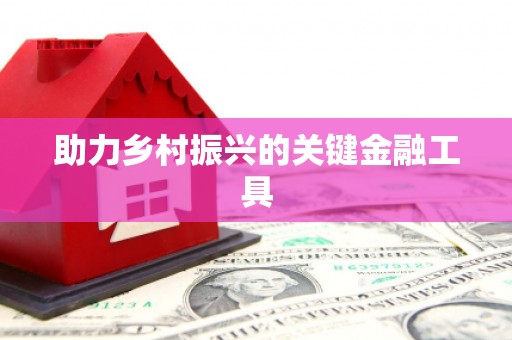 佳冬助力乡村振兴的关键金融工具