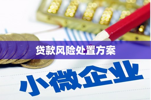 佳冬贷款风险处置方案