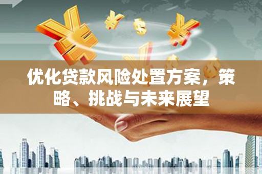 佳冬优化贷款风险处置方案，策略、挑战与未来展望