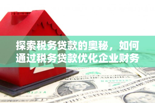 佳冬探索税务贷款的奥秘，如何通过税务贷款优化企业财务