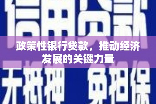 佳冬政策性银行贷款，推动经济发展的关键力量