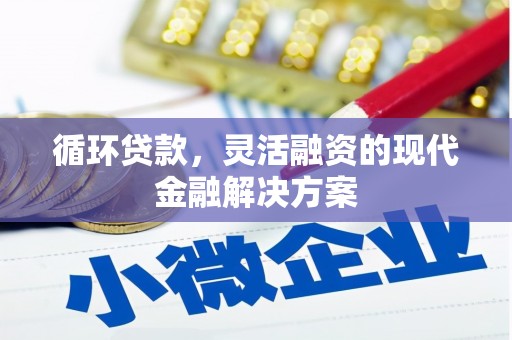 佳冬循环贷款，灵活融资的现代金融解决方案