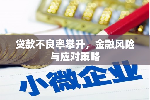 佳冬贷款不良率攀升，金融风险与应对策略