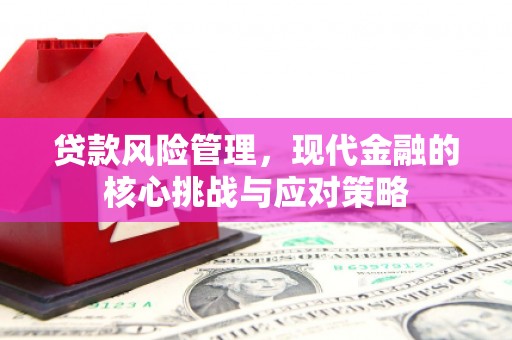 佳冬贷款风险管理，现代金融的核心挑战与应对策略