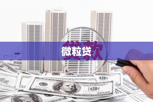 佳冬微粒贷