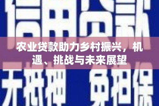 佳冬农业贷款助力乡村振兴，机遇、挑战与未来展望