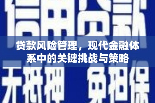 佳冬贷款风险管理，现代金融体系中的关键挑战与策略
