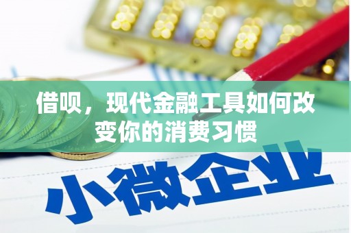 佳冬借呗，现代金融工具如何改变你的消费习惯