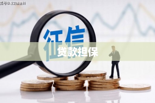 佳冬贷款担保