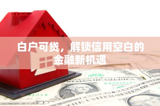 佳冬白户可贷，解锁信用空白的金融新机遇