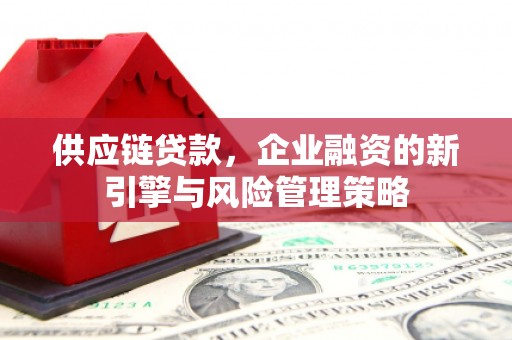 佳冬供应链贷款，企业融资的新引擎与风险管理策略
