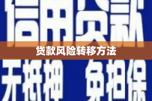 佳冬贷款风险转移方法