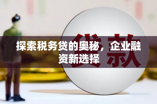 佳冬探索税务贷的奥秘，企业融资新选择