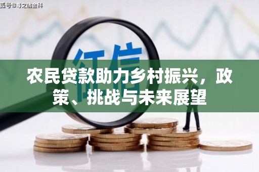 佳冬农民贷款助力乡村振兴，政策、挑战与未来展望