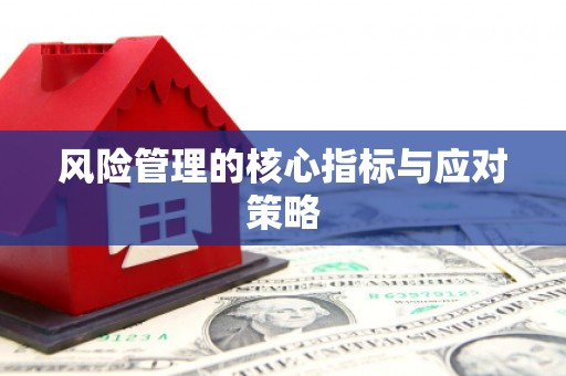 佳冬风险管理的核心指标与应对策略