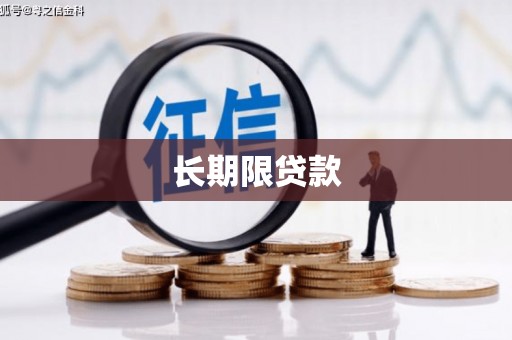 佳冬长期限贷款