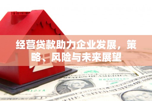 佳冬经营贷款助力企业发展，策略、风险与未来展望
