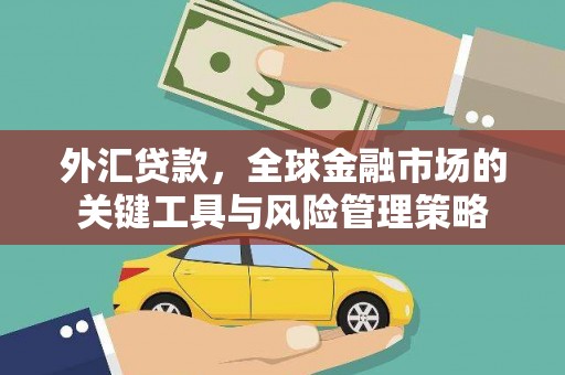 佳冬外汇贷款，全球金融市场的关键工具与风险管理策略