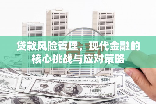 佳冬贷款风险管理，现代金融的核心挑战与应对策略