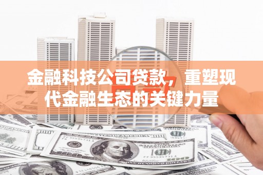 佳冬金融科技公司贷款，重塑现代金融生态的关键力量