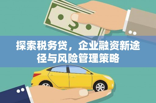佳冬探索税务贷，企业融资新途径与风险管理策略