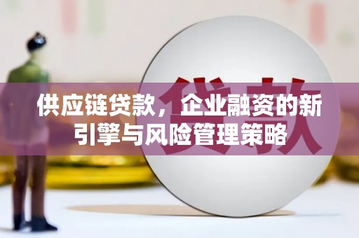 佳冬供应链贷款，企业融资的新引擎与风险管理策略