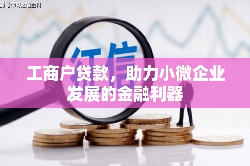 佳冬工商户贷款，助力小微企业发展的金融利器